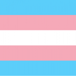 transgender-flag ong -250x250